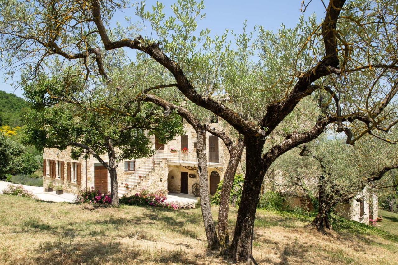 Villa Colle Di Rocco Limigiano ภายนอก รูปภาพ