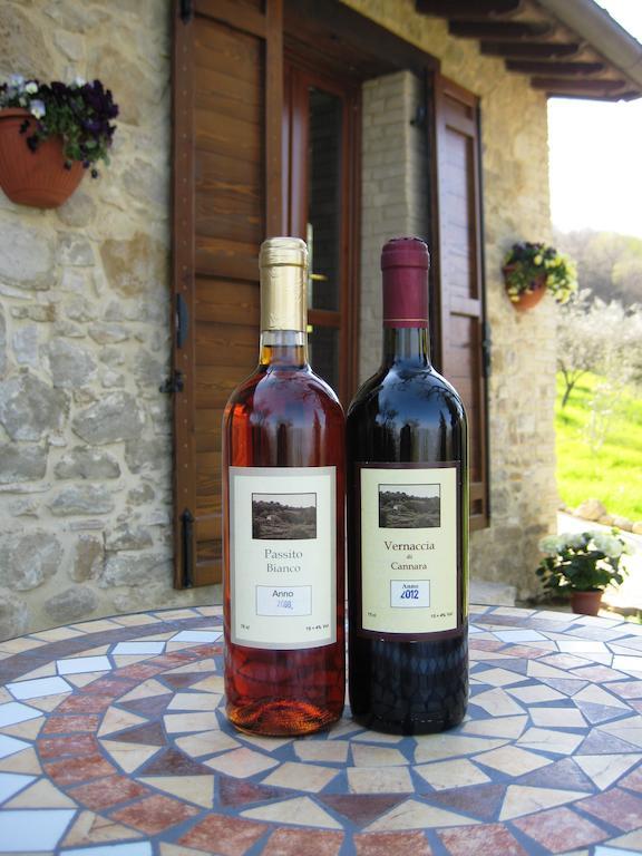 Villa Colle Di Rocco Limigiano ภายนอก รูปภาพ