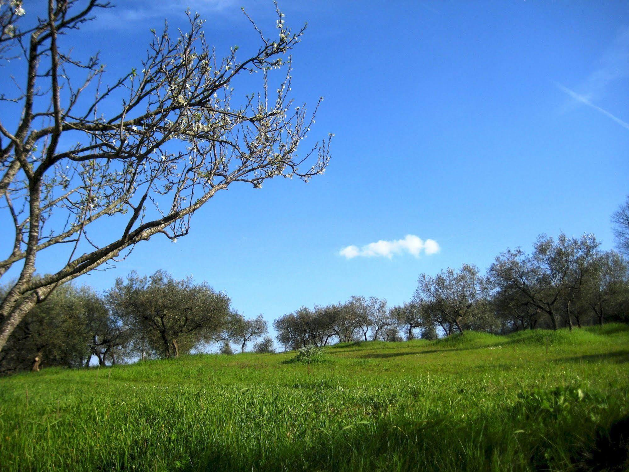 Villa Colle Di Rocco Limigiano ภายนอก รูปภาพ